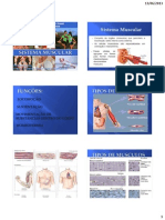 Aula 3 Sistema Muscular UFAM 2013