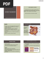 Aula 4 _ Sistema Tegumentar UFAM 2013