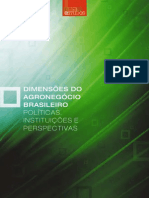 Dimensões Do Agronegócio Brasileiro