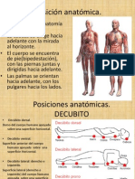 Posiciones anatómicas y decúbitos