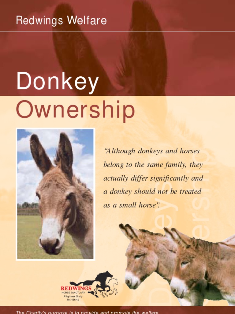 Donkeys | PDF | Horses | Donkey