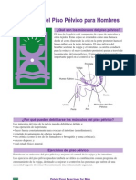 Ejercicios Del Piso Pelvico para Hombres