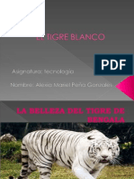 El Tigre Blanco (2)