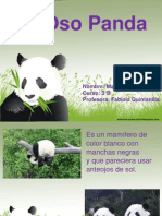 El Panda Maite Tilleria