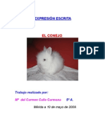 El conejo