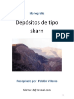 Depositos Skarn II