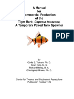 tiger barb production