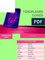 Toxoplasma Gondii