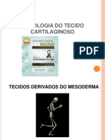 Aula 5 Tecido Cartilaginoso