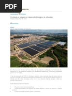 Log Da Tera Ambiental