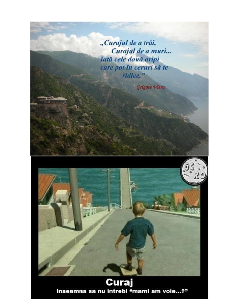 CURAJ2 | PDF