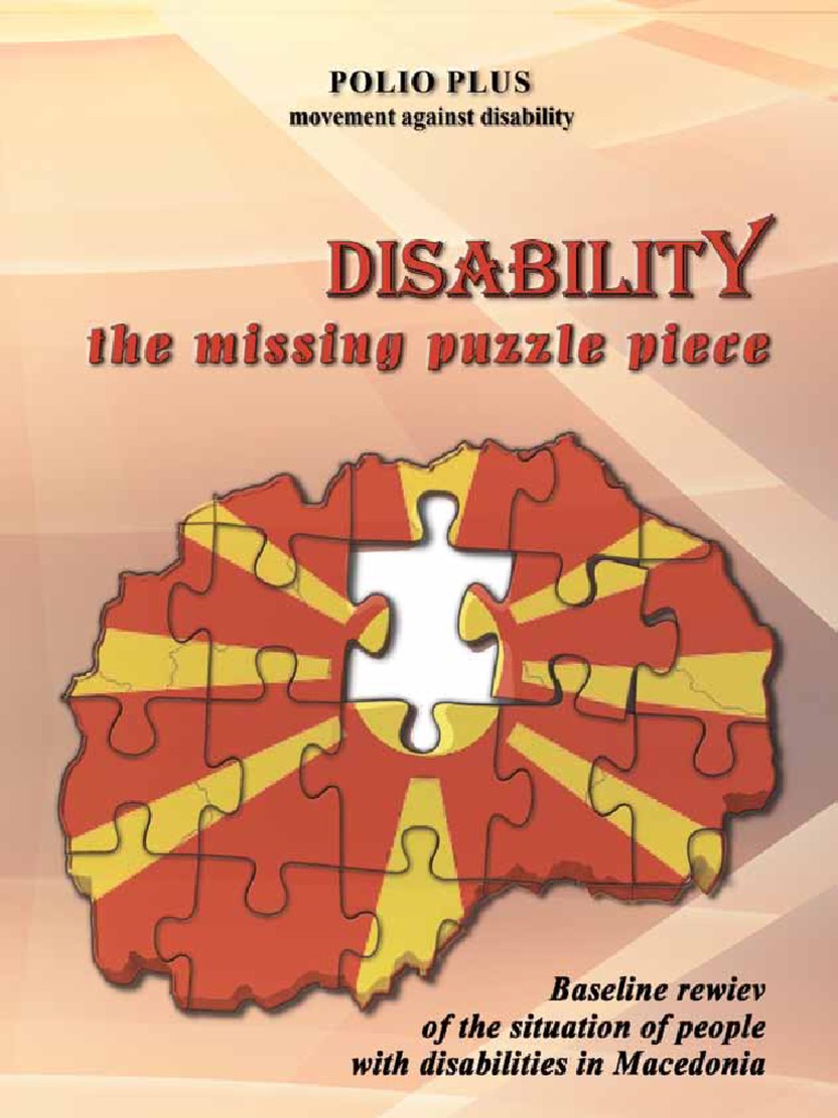 Disability The Missing Puzzle Piece Baseline Review of The Situation of ...