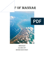 Gulf of Mannar