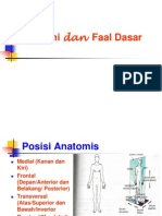 Anatomi Dan Faal Dasar