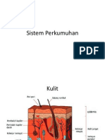 Sistem Perkumuhan Manusia