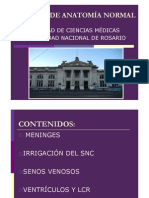 07 MENINGES. IRRIGACIÓN. LCR