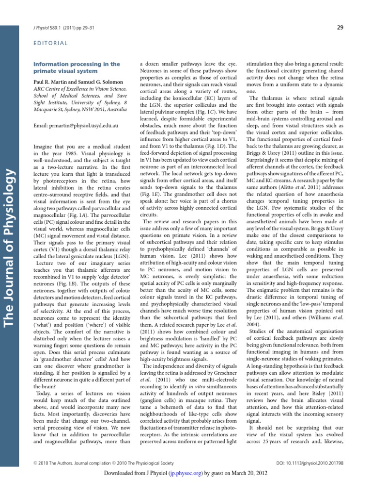 Advances in Primate Visual Processing | PDF | Visual System | Visual Cortex