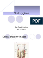 Oral Hygiene: By: Teguh Prayitno 20111660075