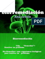 preseentacion-biorremediacion (1)