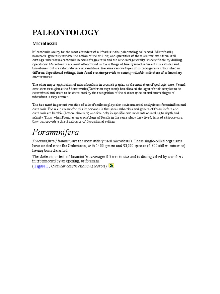 Paleontology basic Fossil Organisms Free 30day Trial Scribd