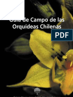 Orquideas Chilenas