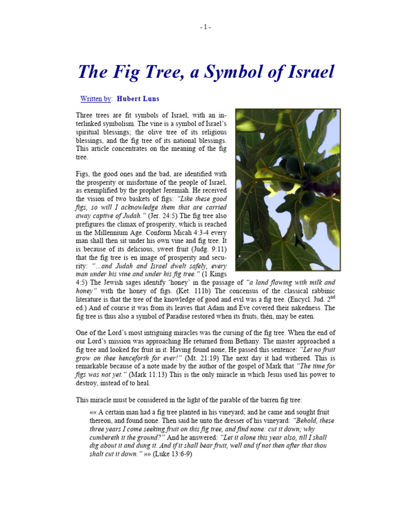 The Fig Tree — a Symbol of Israel Acts Of The Apostles Jesus