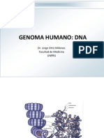 2a Clase - Estrutura Del Genoma Humano - 12.03.2012