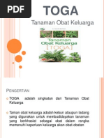 Download Tanaman Obat Keluarga TOGA by Akhditia Citratami Wandaniatri SN152558362 doc pdf