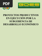 PROYECTOS PRODUCTIVOS_1