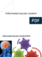 Enfermedad Vascular Cerebral