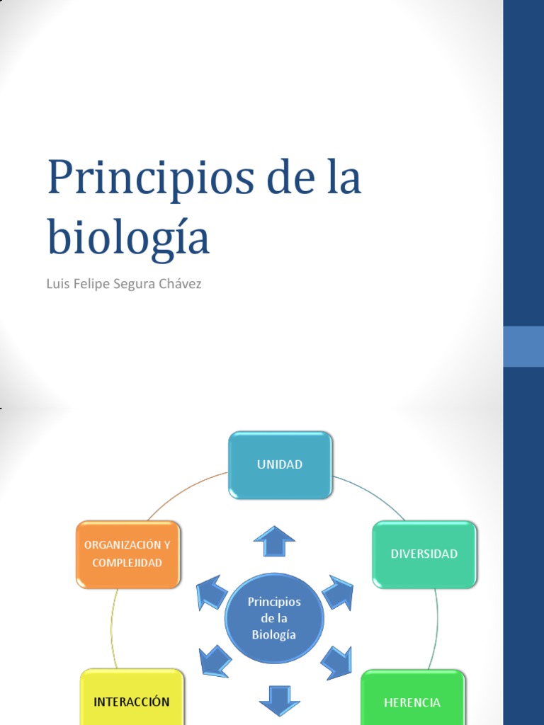 Biologia 0 Principios de La Biologia PDF Proteasoma Organismos