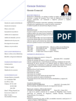 Curriculum Vitae - German Formato