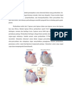 104966755 Pericardial Effusion