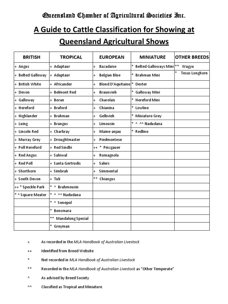 A Guide To Cattle Classification v2 | PDF | Mammal Breeds | Cattle