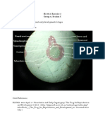 (Bi 160.1) Neural Tube Labels