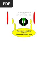 Cancer de próstata revisão