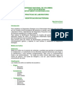 Identificacion Bacteriana. Parte I