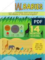 Animal Babies Infographic Final