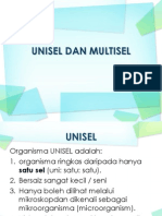 Unisel Dan Multisel