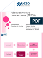 Fosfoenolpiruvato Carboxiquinase (PEPCK)