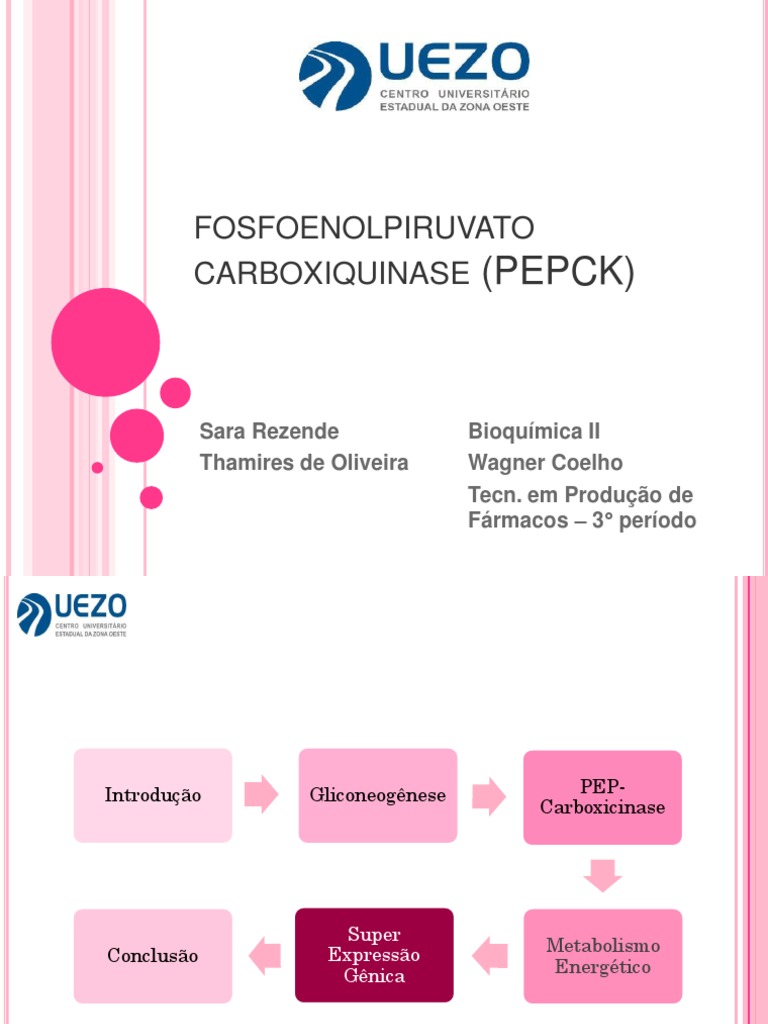 fosfoenolpiruvato carboxiquinase (PEPCK)