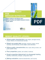 wheatqualityand broliers