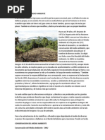 DREPEDACIÓN DEL MEDIO AMBIENTE