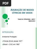 Adubação em vasos para produção de mudas