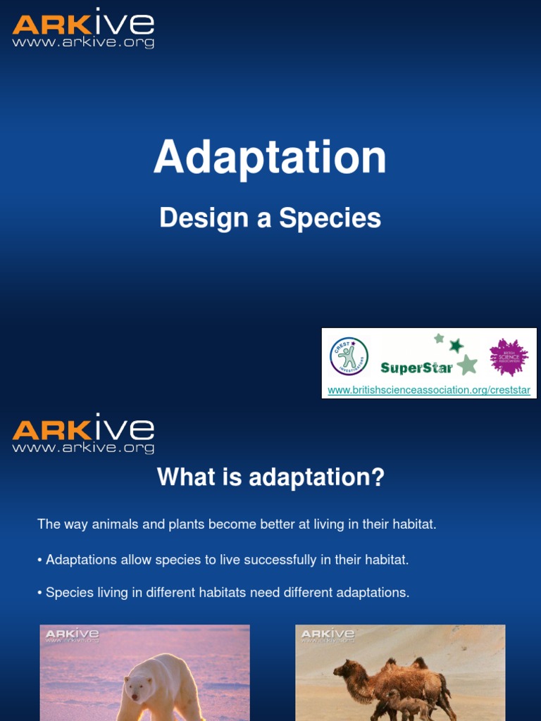 7 11yrs Adaptation Design A Species Activity Classroom Presentation Education Pdf Predation Habitat