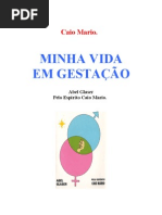 Aborto Minha Vida Em Gestacao