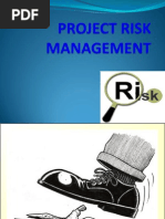 Lecture 7 Risk