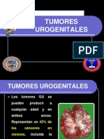 Diapositiva Tumor Renal