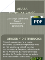 ARAZA