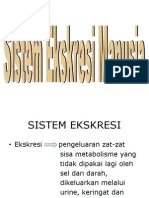 Sistem Ekskresi Manusia